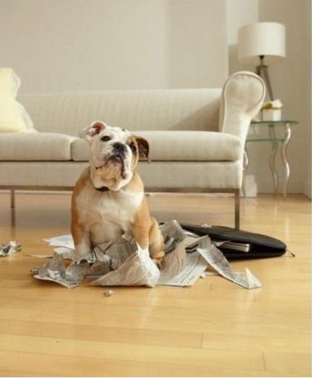 �������Д[�O��ԓ�M������һЩ���F�ء���Ʒ