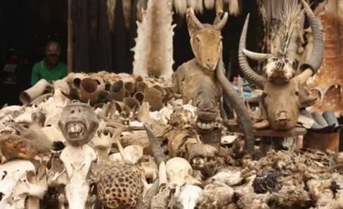 ȫ����׃�B(t��i)��10��(g��)�ط�����^��(du��)����ȥ��